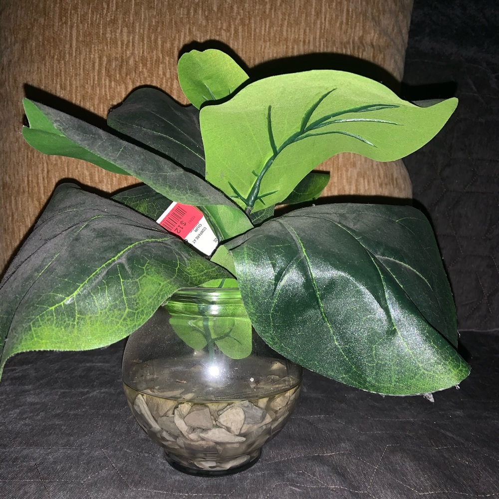Fake Plant